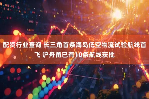 配资行业查询 长三角首条海岛低空物流试验航线首飞 沪舟甬已有10条航线获批